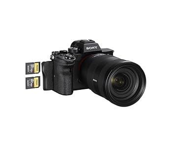 Amazon.com : Sony Alpha 7R IVA Full Frame Mirrorless
